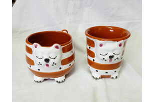 vaso